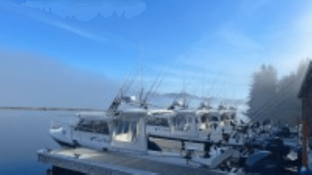boat lineup in fog 2