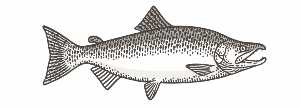 Fish Chart Chinook