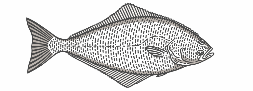 Fish Chart Halibut