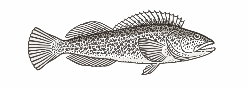 Fish Chart Lingcod