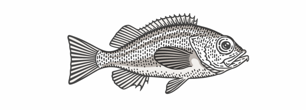 Fish Chart Rockfish