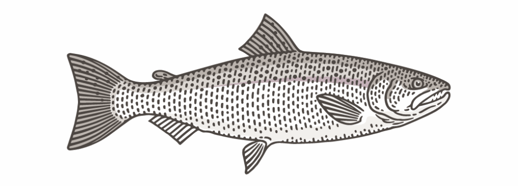 Fish Chart Salmon